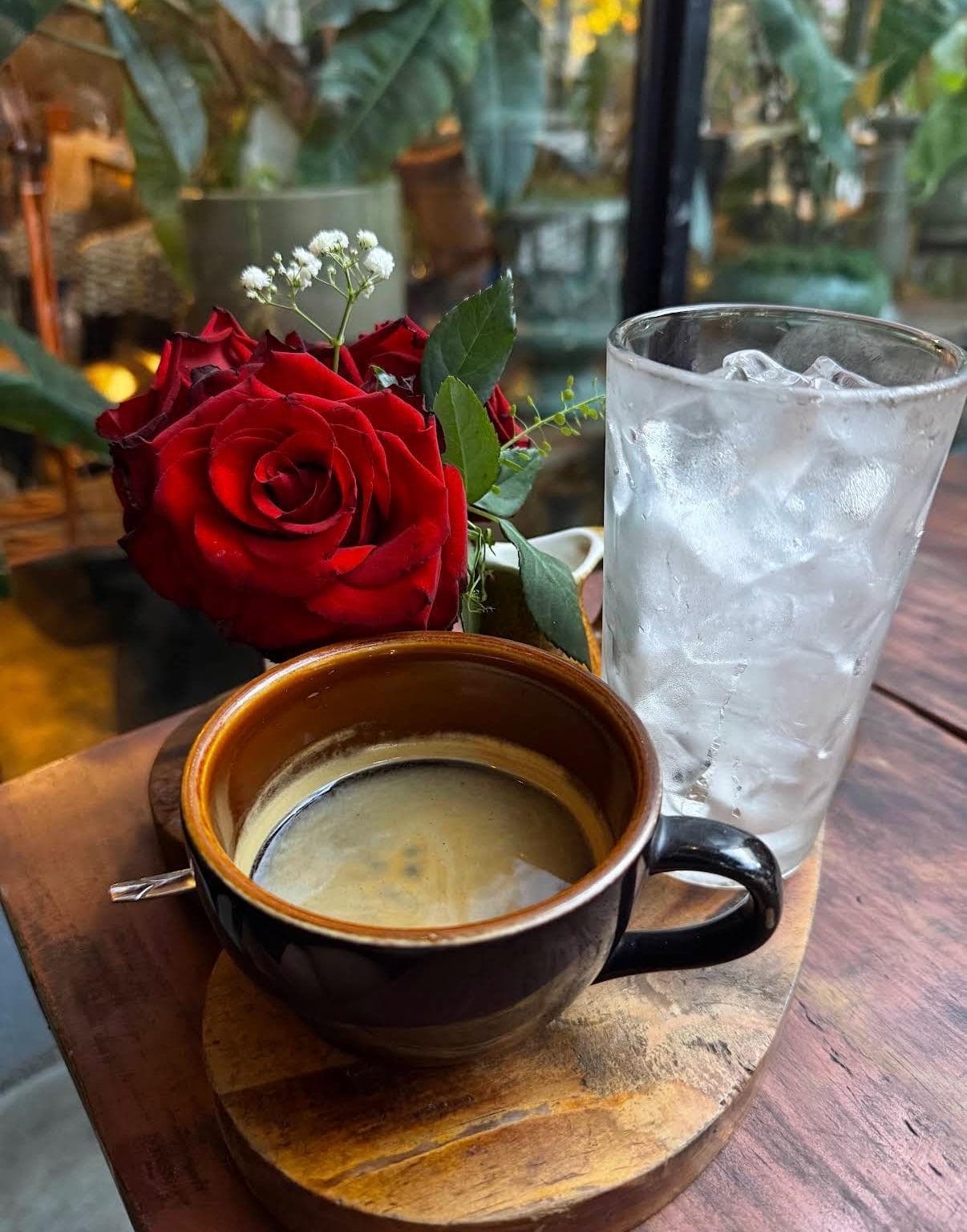 Jungle Coffee
