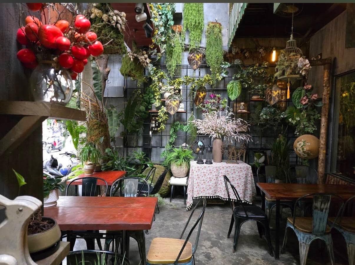 Jungle Coffee