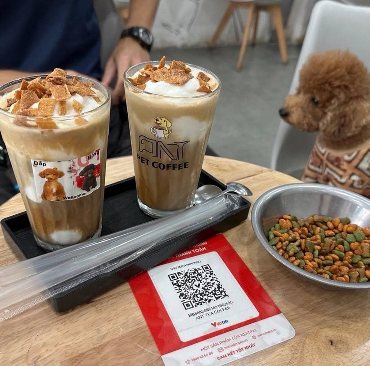 Кафе с пуделями - Ant Pet Coffee